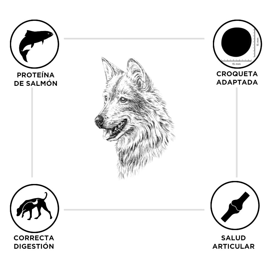 Criadores Adulto Salmão e Arroz ração para cães de porte médio e grande - Image 3