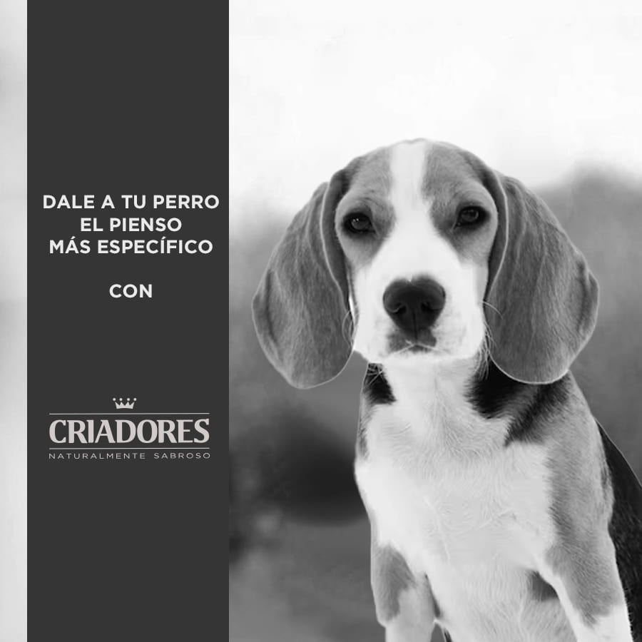 Criadores Dietetic Hipoalergénico Adulto pienso para perros