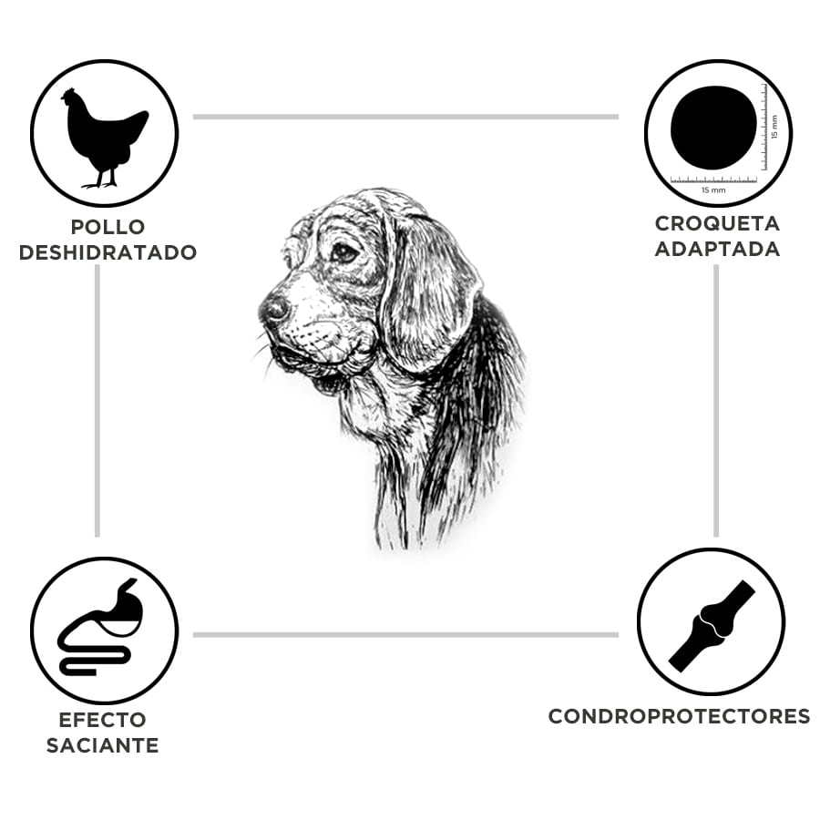 Criadores Adulto Light Frango ração para cães de porte médio e grande - Image 3