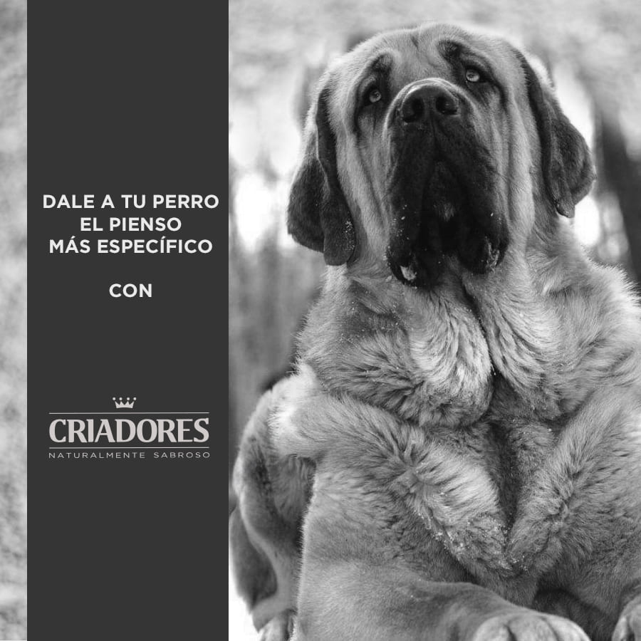 Criadores Adulto Light Frango ração para cães de porte médio e grande - Image 5